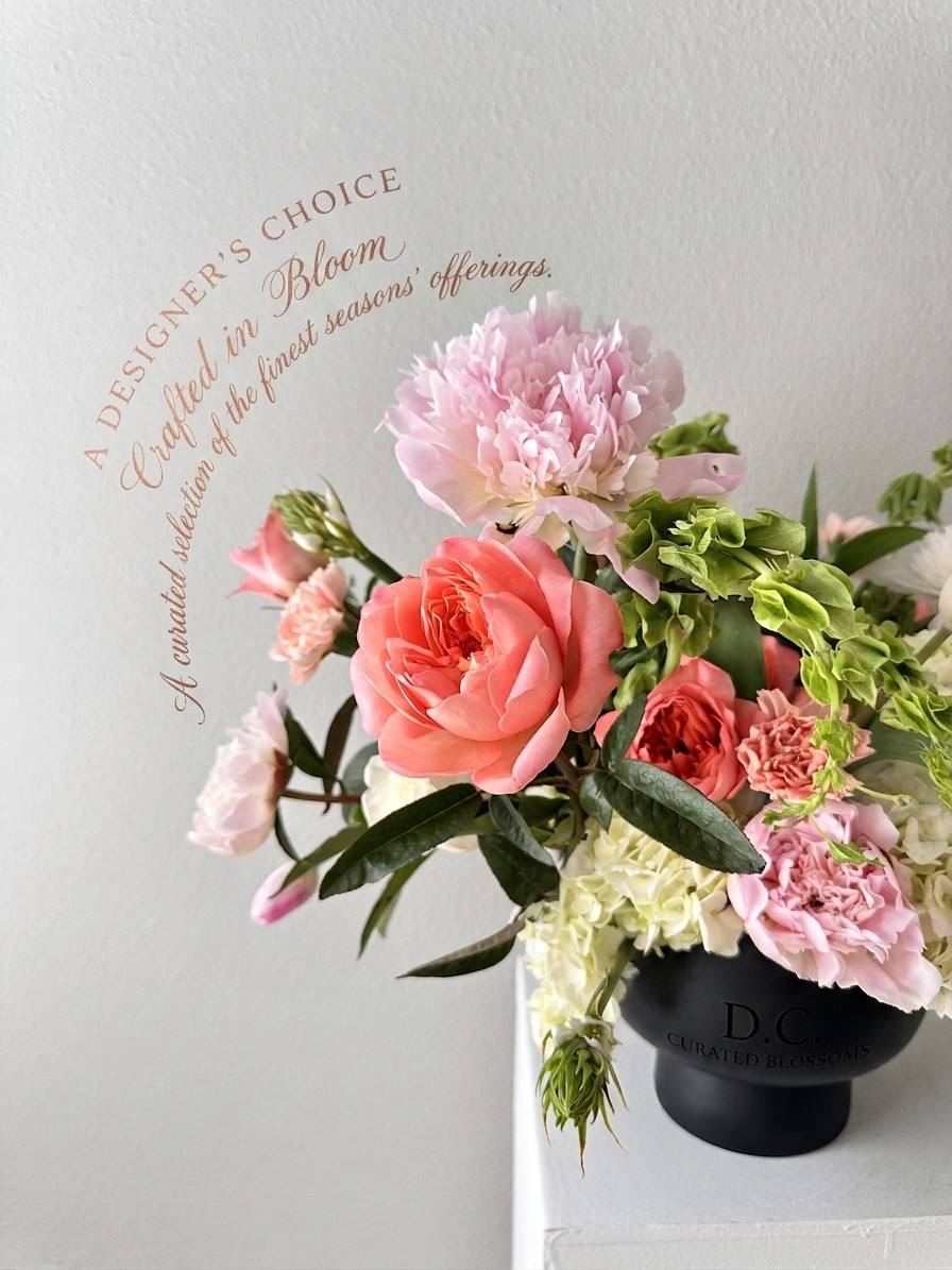Designer’s Choice